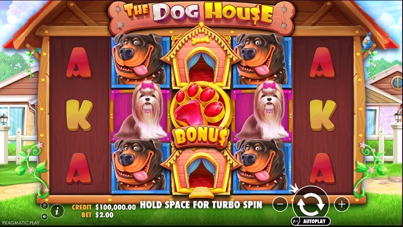 The Dog House Slot The Dog House Screenshot